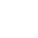 License icon