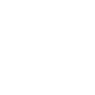 Owner icon